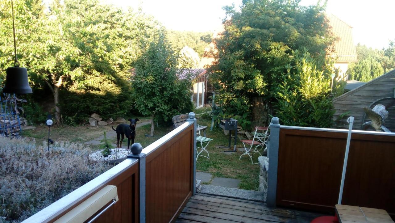 Ferienhaus Schulenberg Villa Friedrichsbrunn Eksteriør billede